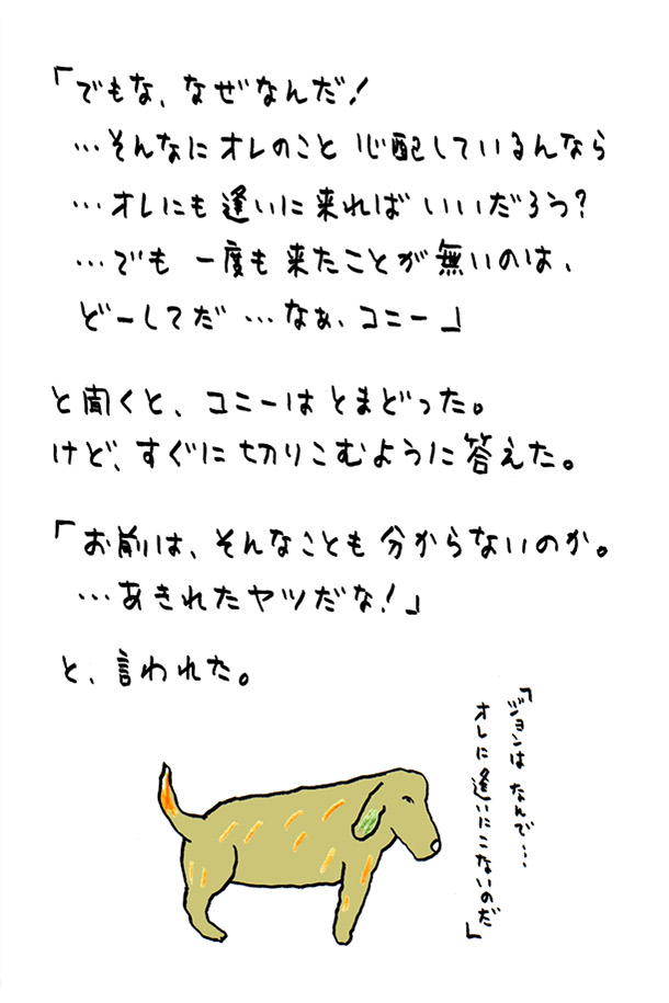 クジライラスト