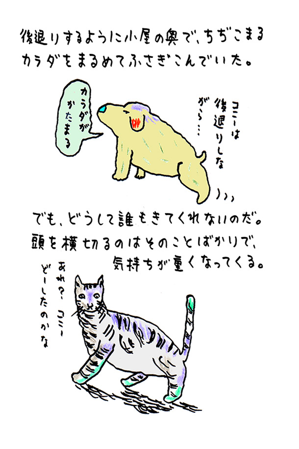 クジライラスト