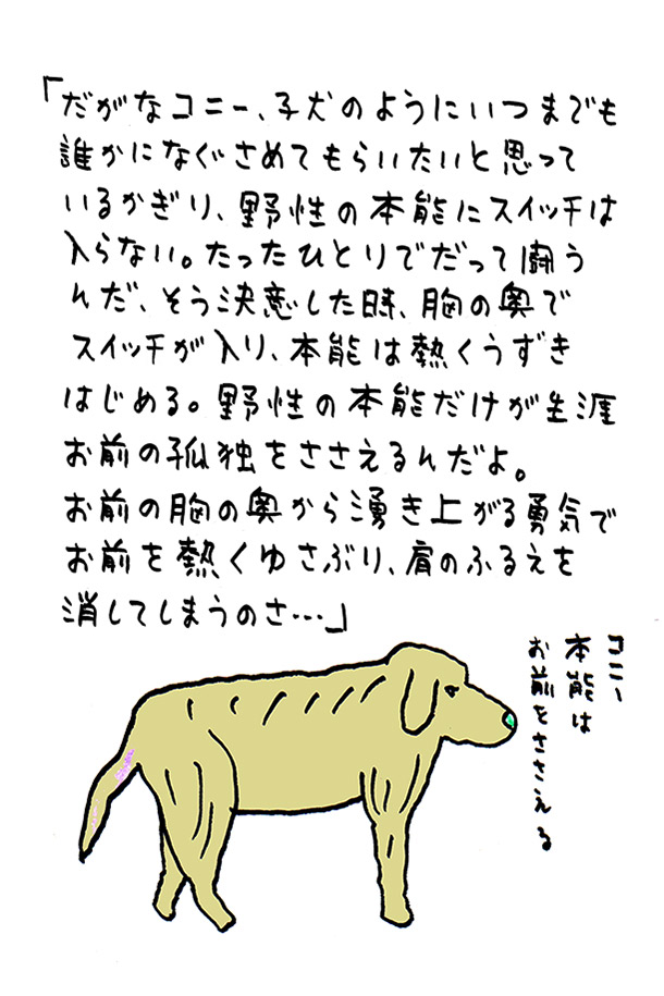 クジライラスト