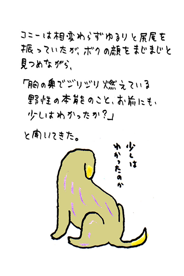 クジライラスト