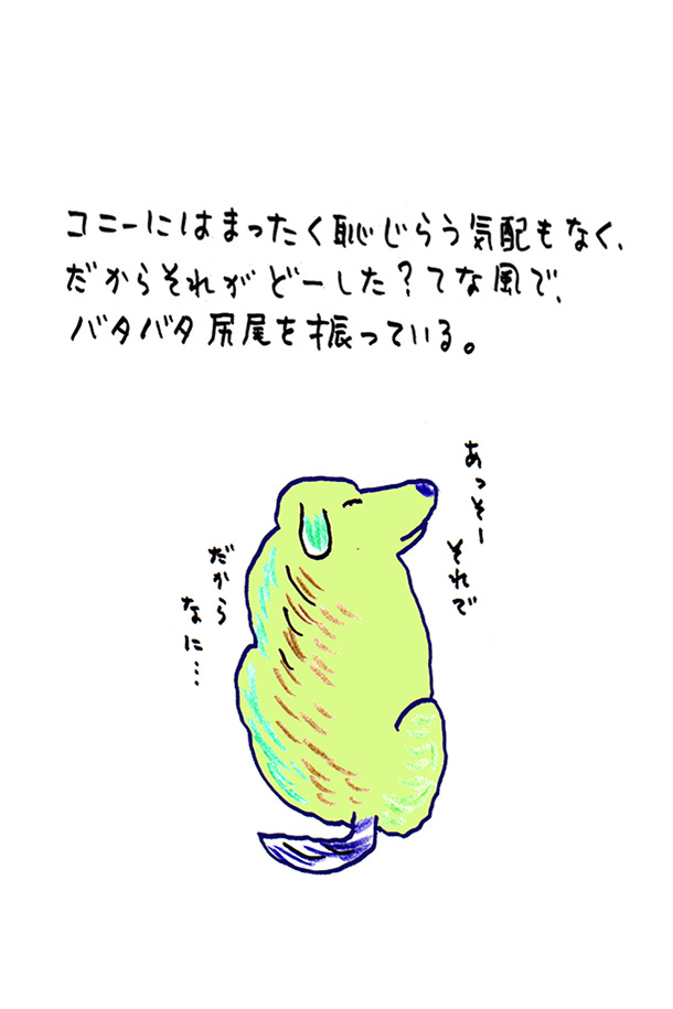 クジライラスト