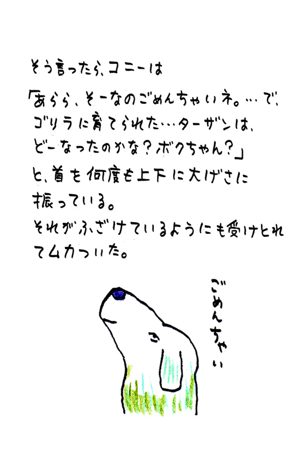 クジライラスト