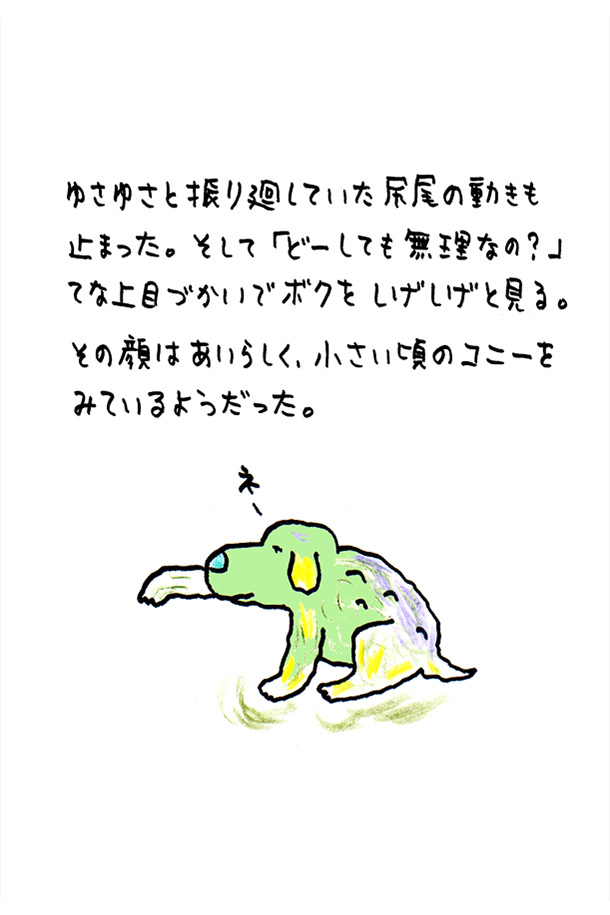 クジライラスト