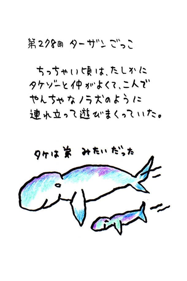 クジライラスト