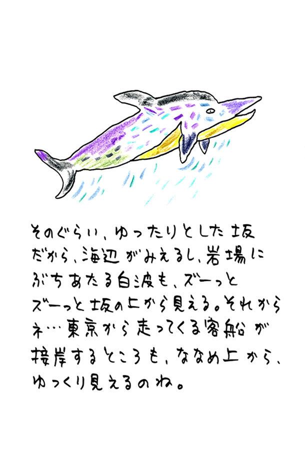 クジライラスト