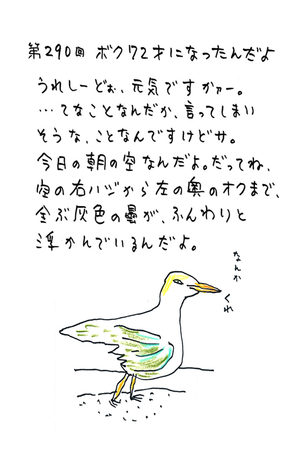 クジライラスト