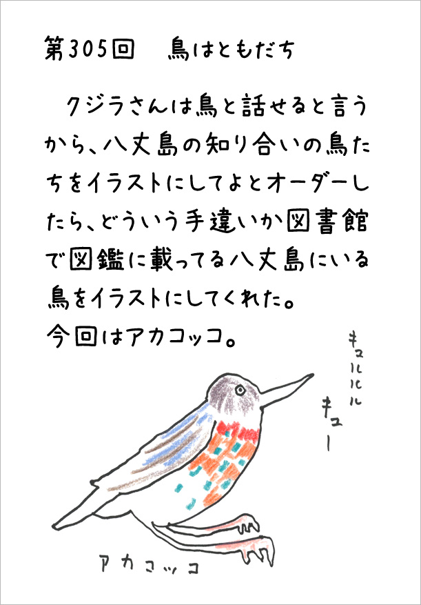 クジライラスト