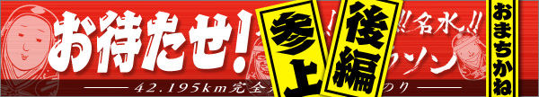 2013年 竹田名水ヒゲマラソン