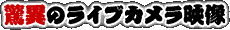 ���Ђ̃��C�u�J�����f��