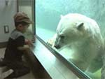 テレメンタリー2003「14枚の素描～旭山動物園の夢～」