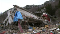 大津波で倒壊した高架橋