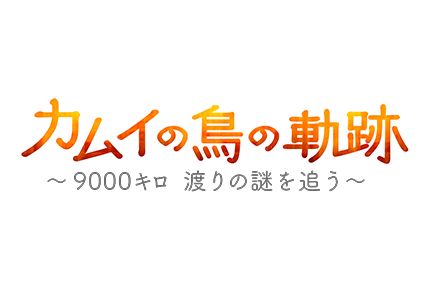 テレメンタリー2017　カムイの鳥の軌跡　～9000キロ 渡りの謎を追う～