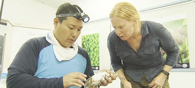 カムイの鳥の軌跡　～9000キロ 渡りの謎を追う～