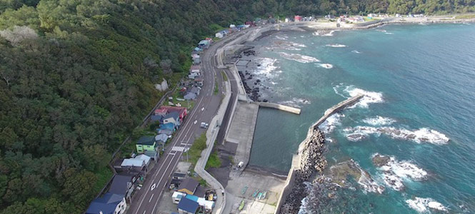 島牧村のクマ騒動