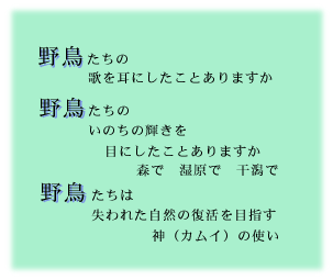 野鳥たちの歌を耳にしたことありますか
野鳥たちのいのちの輝きを目にしたことありますか
森で　湿原で　干潟で
野鳥たちは失われた自然の復活を目指す
神（カムイ）の使い