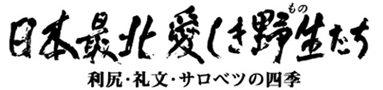 日本最北　愛しき野生（もの）たち