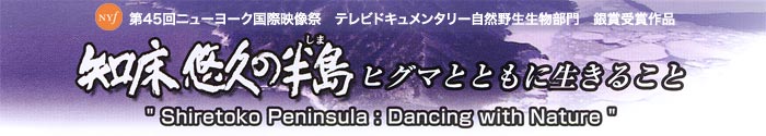 第45回ニューヨーク国際映像祭　テレビドキュメンタリー自然野生生物部門　銀賞受賞作品　「知床悠久の半島（しま）～ヒグマとともに生きること～」"Shiretoko Peninsula:Dancing with Nature"