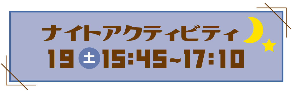 ナイトアクティビティ 11:00～16:00