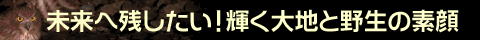 ֎cIPnƖ쐶̑f